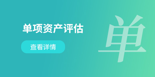 各類單項(xiàng)資產(chǎn)評(píng)估